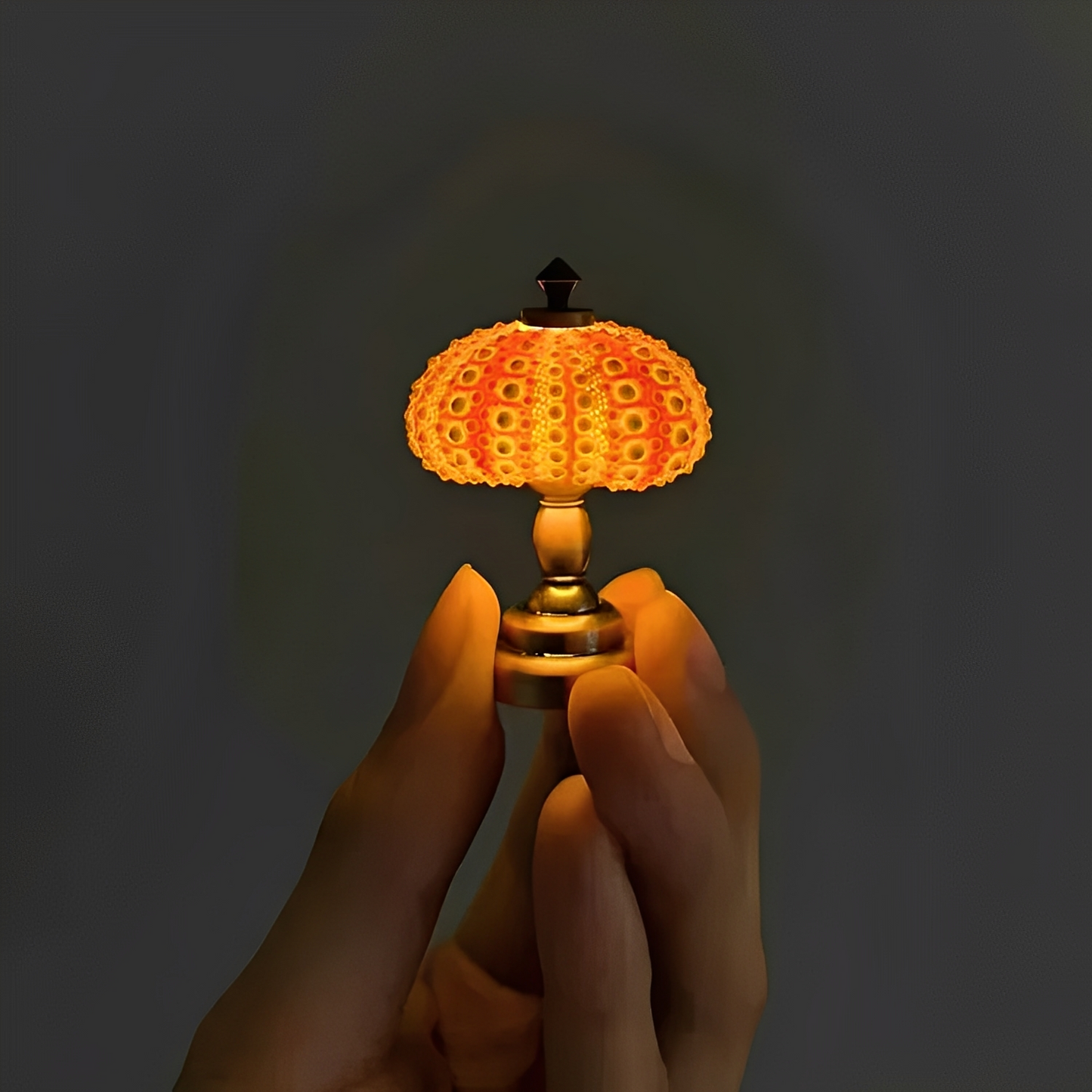 Nila – DIY Seeigel Nachtlampe