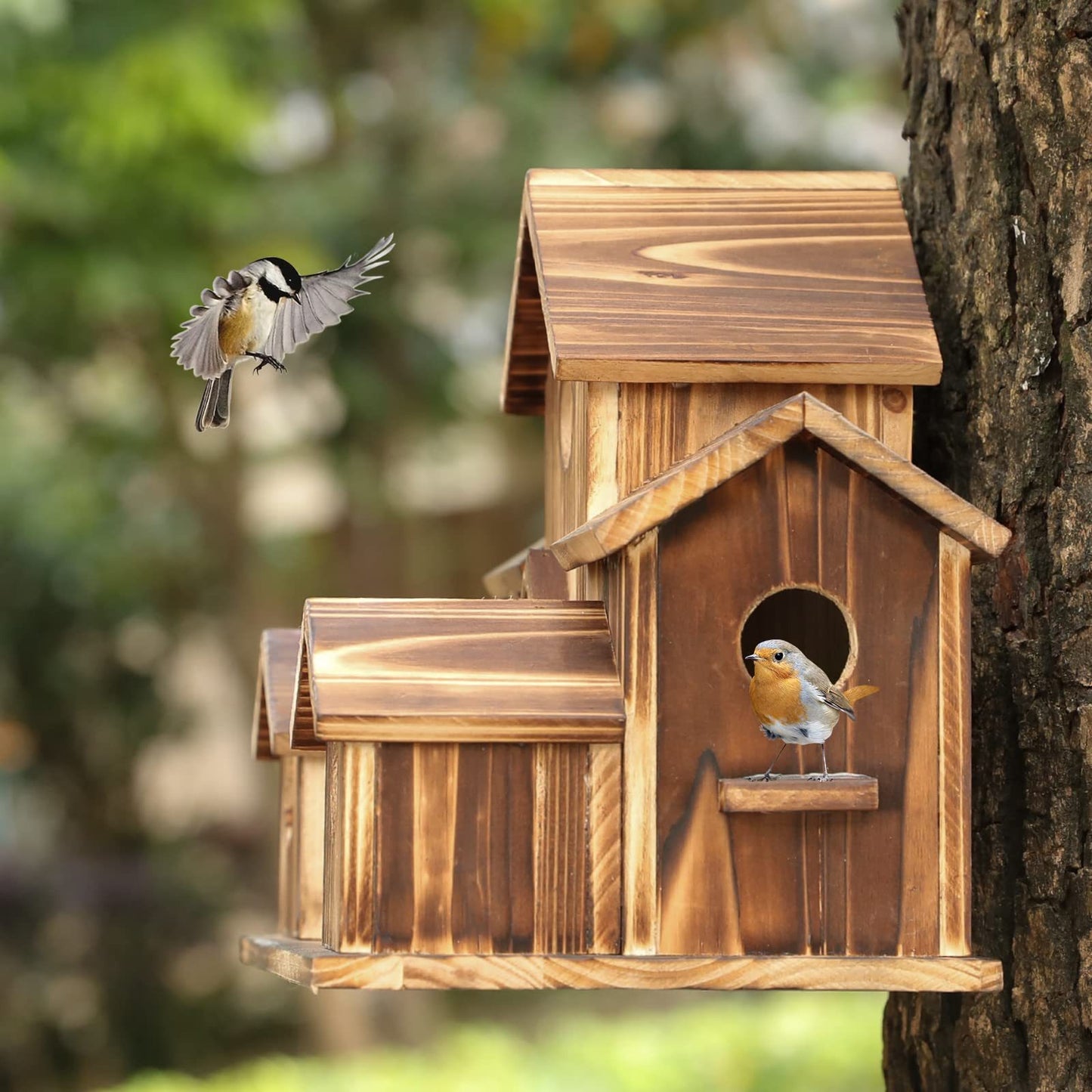 Kelly – Kreative Holzvogelhaus Dekoration