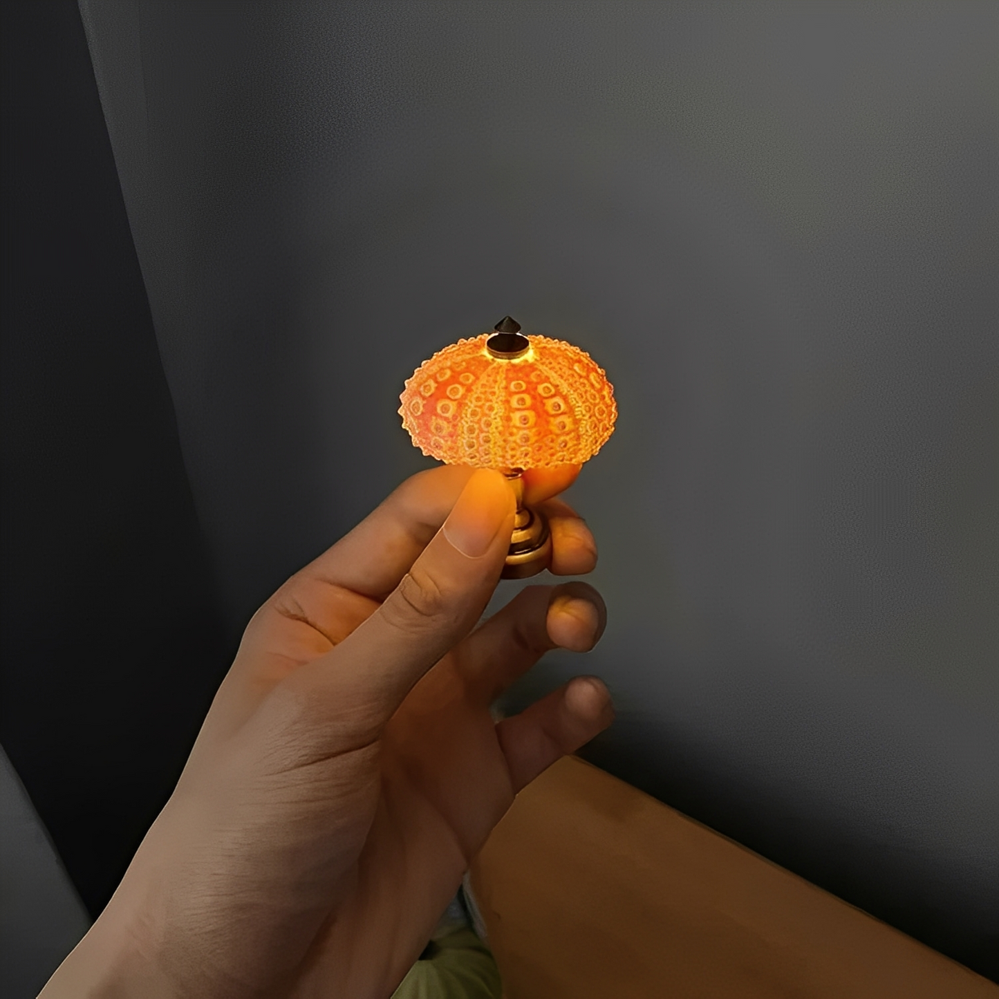 Nila – DIY Seeigel Nachtlampe