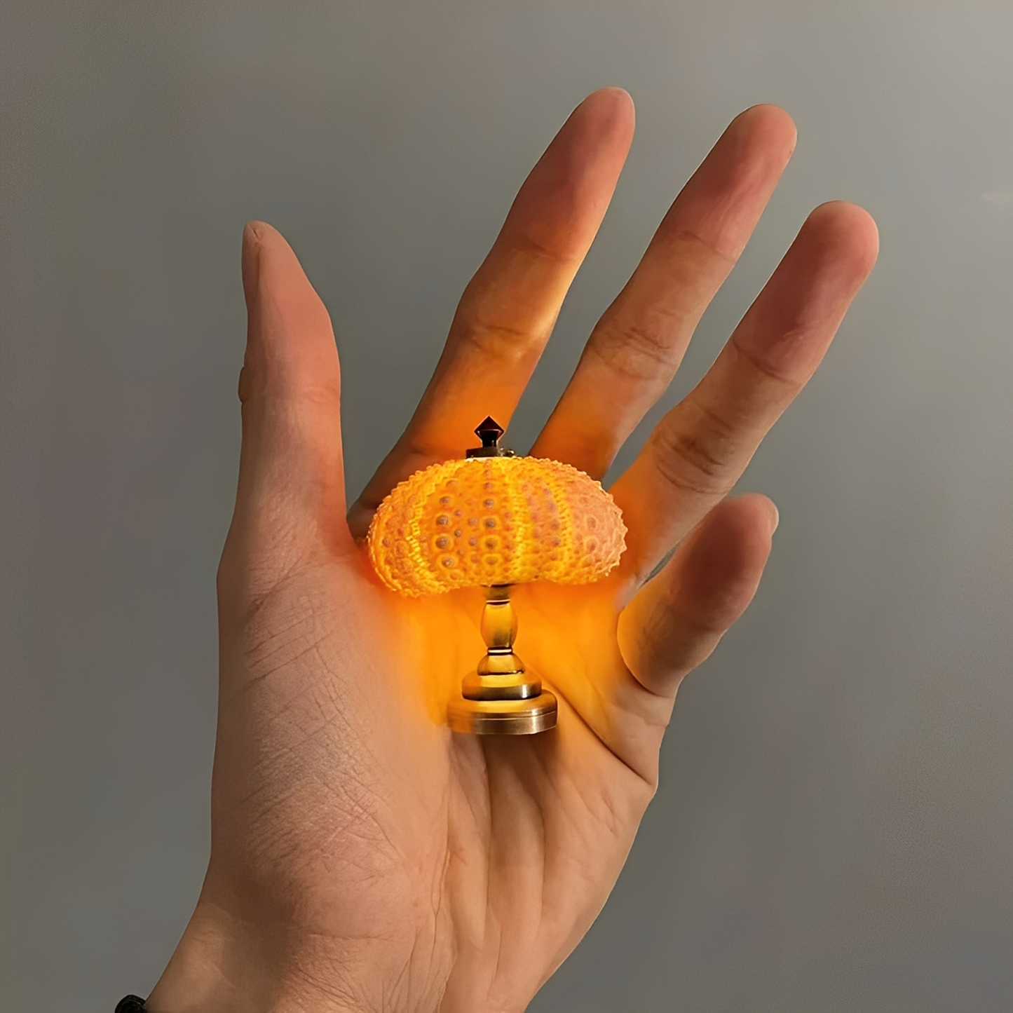 Nila – DIY Seeigel Nachtlampe