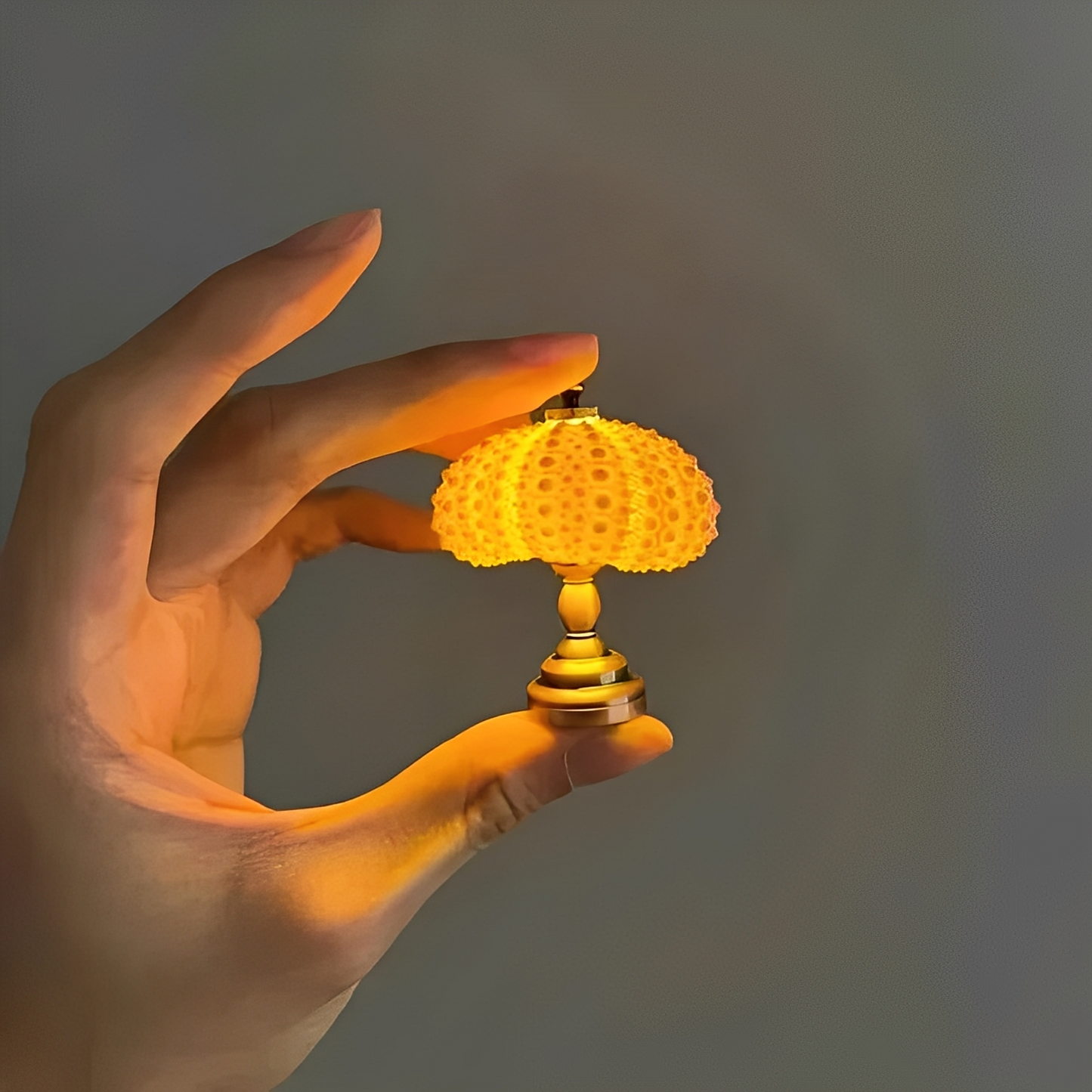 Nila – DIY Seeigel Nachtlampe