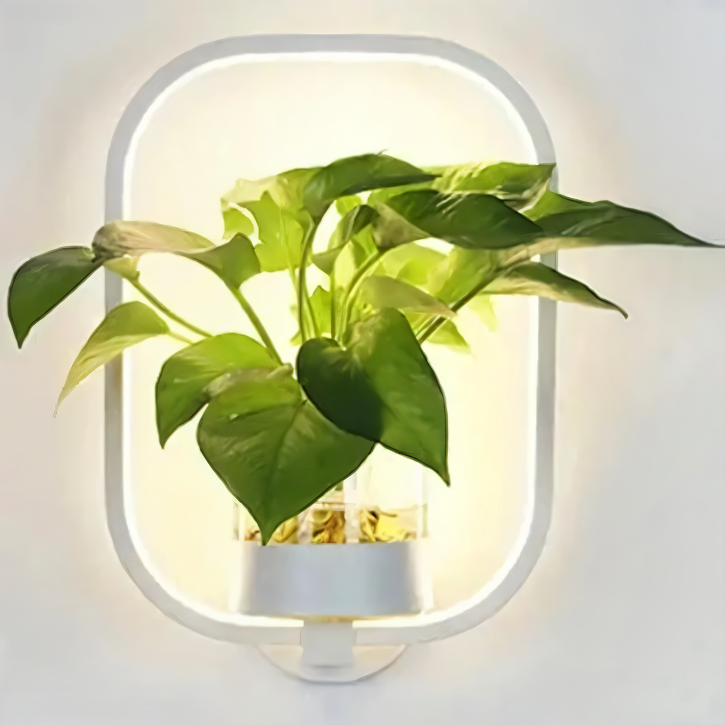Kaori – Moderne LED-Wandleuchte