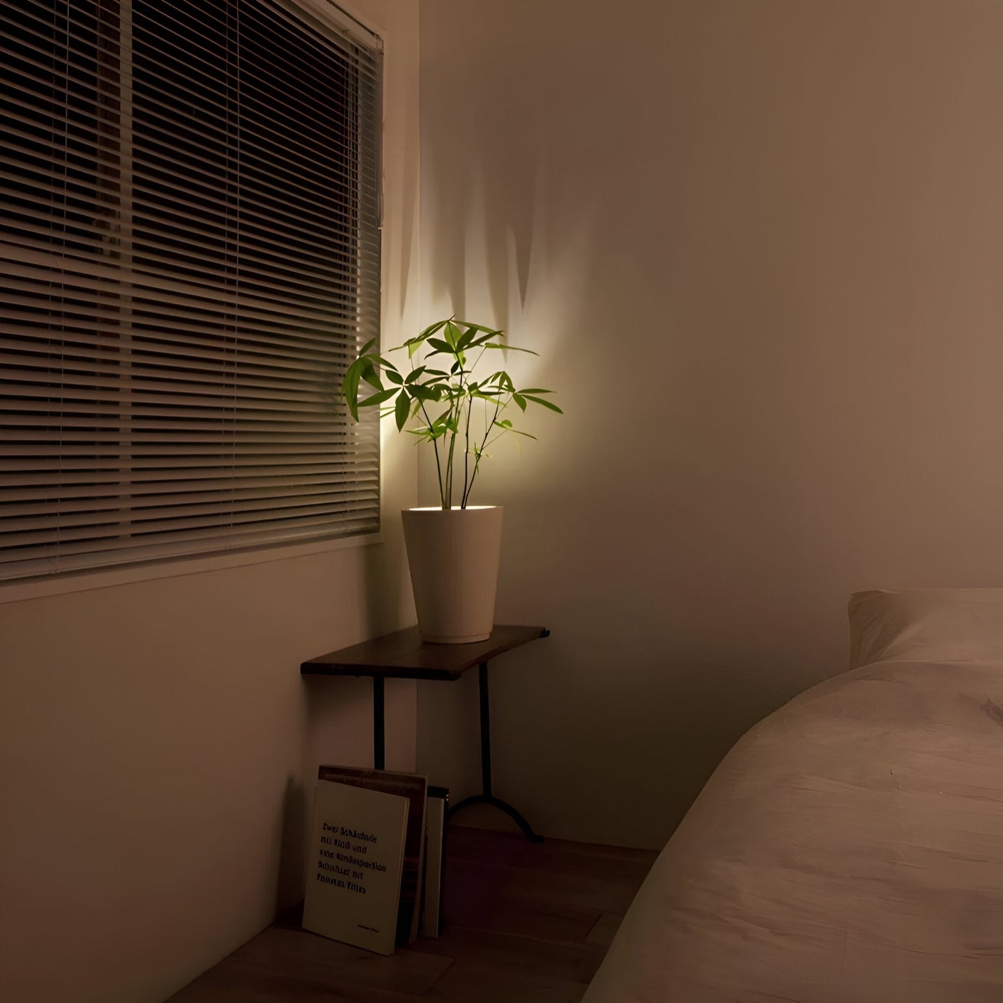 Lumora – LED Projektionsleuchte