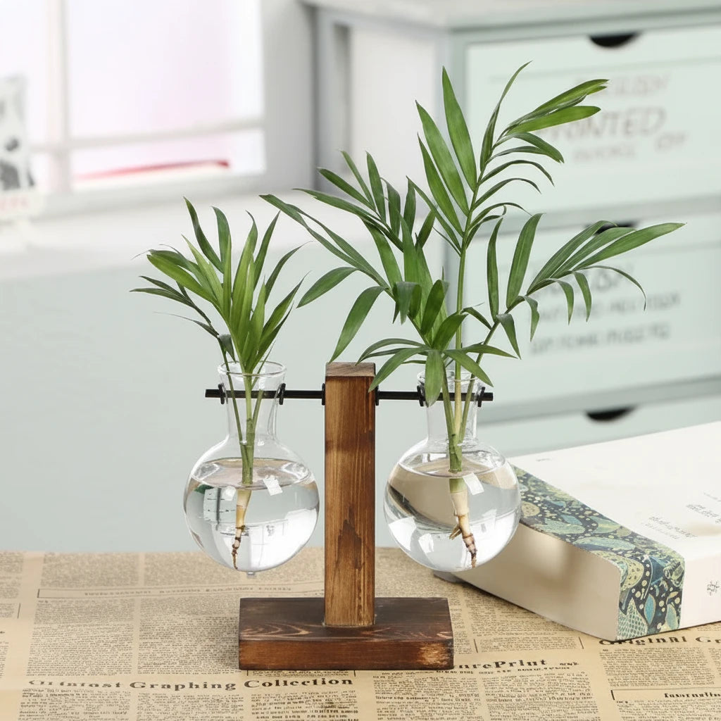 Moderne Pflanzenvase aus Glas im Terrarium-Stil