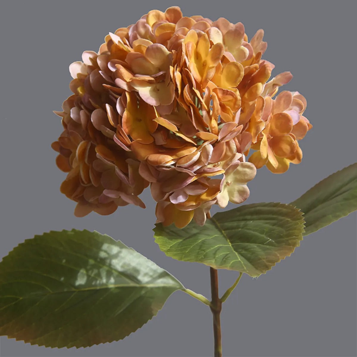 Helena – 3D Hortensienblüte