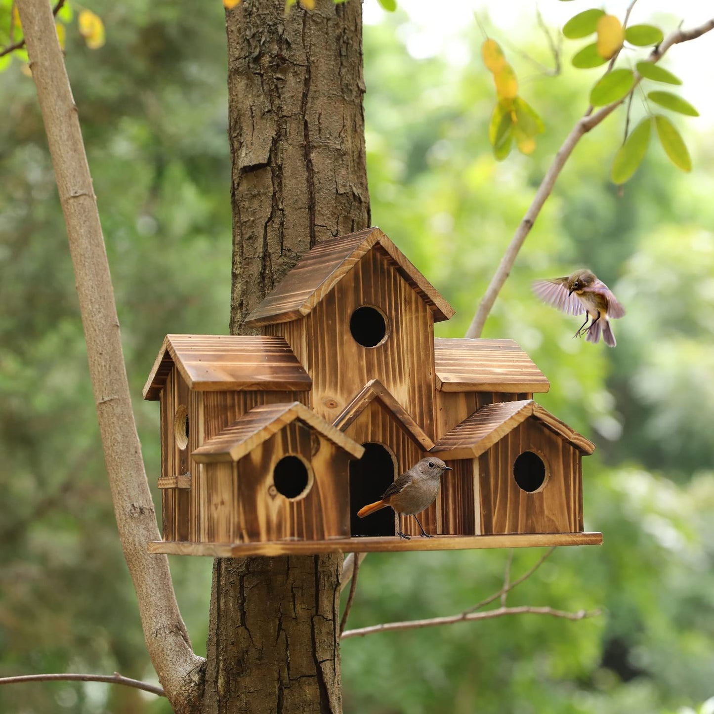 Kelly – Kreative Holzvogelhaus Dekoration