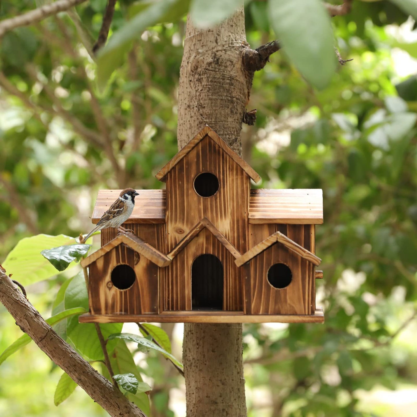 Kelly – Kreative Holzvogelhaus Dekoration